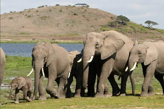 4-Day Private Lake Natron and Serengeti Wildlife Safari - FAQ