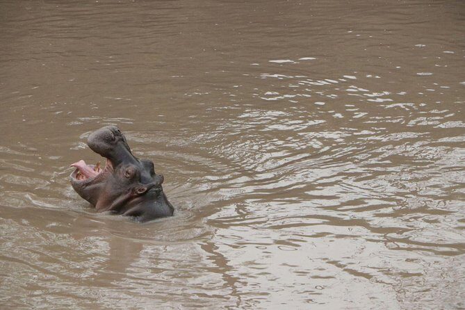 4-Day Private Lodge Safari Tanzania - FAQ