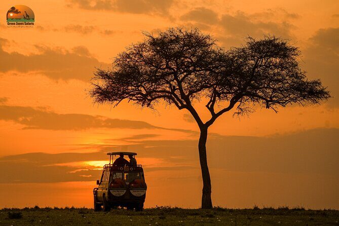 4-Day Private Masai Mara Kenya Safari Tour - Discover the Africa of Your Dreams: The 4-Day Private Masai Mara Kenya Safari Tour