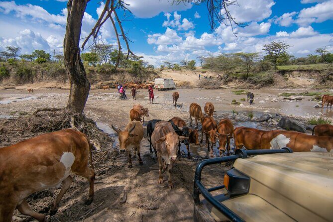4-Day Private Masai Mara Kenya Safari Tour - Who Should Consider This Tour?