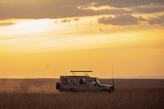 4-Day Private Masai Mara Kenya Safari Tour - Final Thoughts