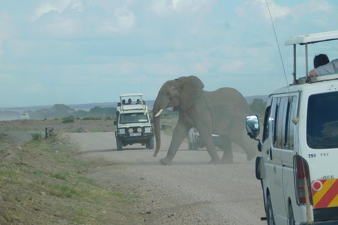 4 Day Private Masai Mara National Reserve & Lake Nakuru National Park Safari - Key Points