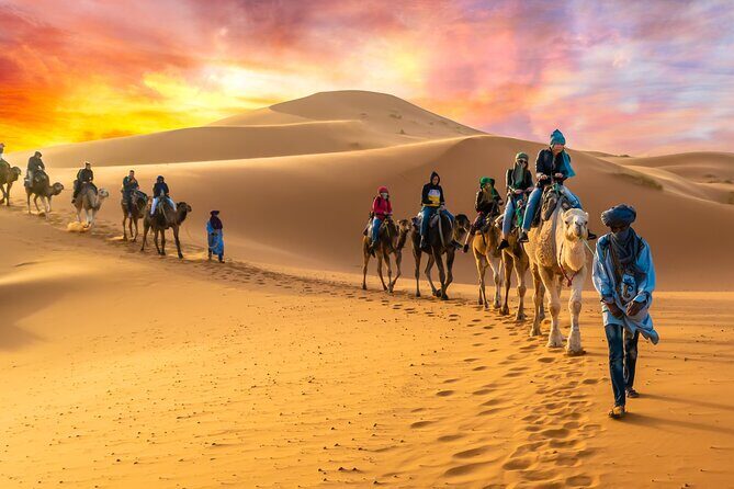 4-Day Private South Desert Tour From Agadir Ending in Marrakech - Who Will Love This Tour?