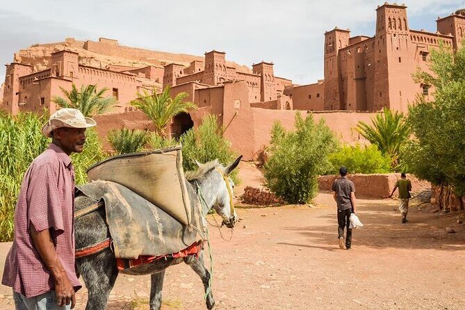 4 Day Private Tour from Fes to Merzouga Desert And Marrakech - Practical Details and Value