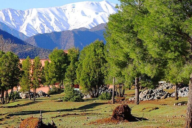 4 Day Private Tour from Fes to Merzouga Desert And Marrakech - Who Is This Tour Best For?