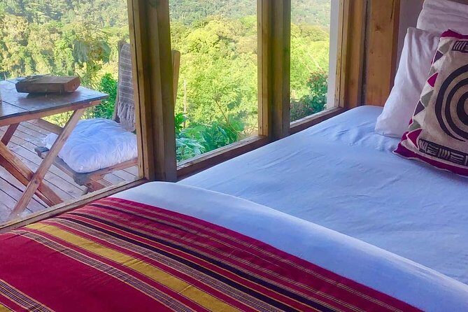 4-Day Private Tour in Bwindi Forest National Park - A Close Look at the Itinerary
