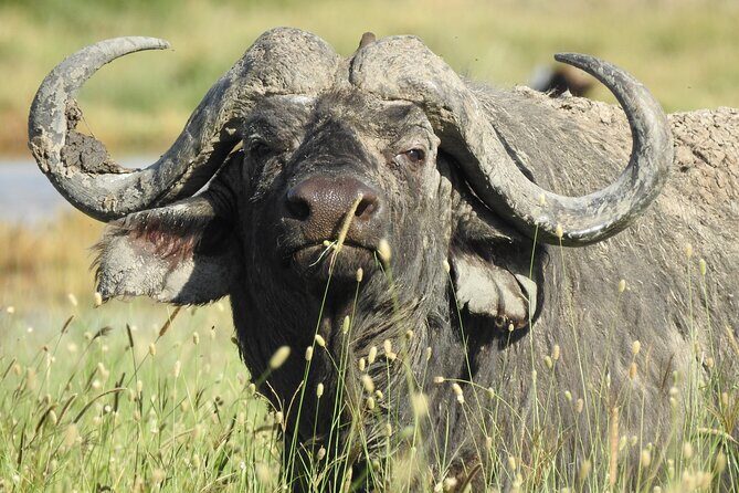 4 Day Private Tour in Tanzania - Key Points