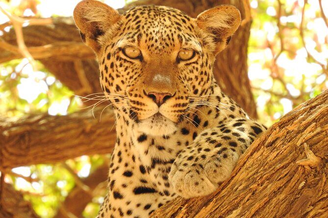 4 Day Private Tour in Tanzania - Exploring the Itinerary in Detail