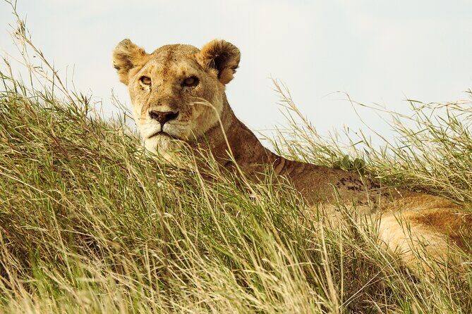 4 Day Private Tour in Tanzania - Analyzing the Value