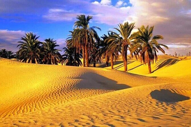 4-Day Private Tour: Sahara and Djerba Island from Tunis and Hammamet - Practical Details and Tips
