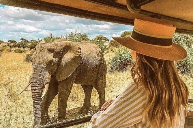 4 Day Private Wilderness Safari in Arusha - Key Points
