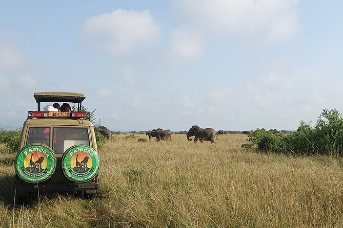 4-Day QENP, Gorillas in Bwindi and Lake Bunyonyi relaxation - What’s Included and What’s Not?