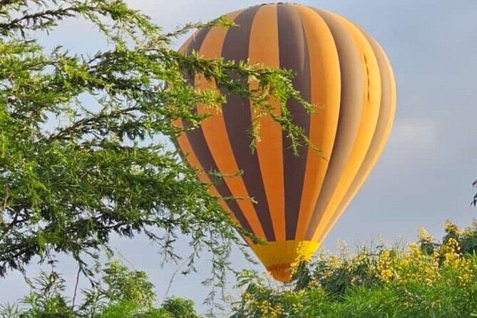 4 Day Safari Maasai Mara, Lake Nakuru and Lake Naivasha - An In-Depth Look at the 4-Day Safari