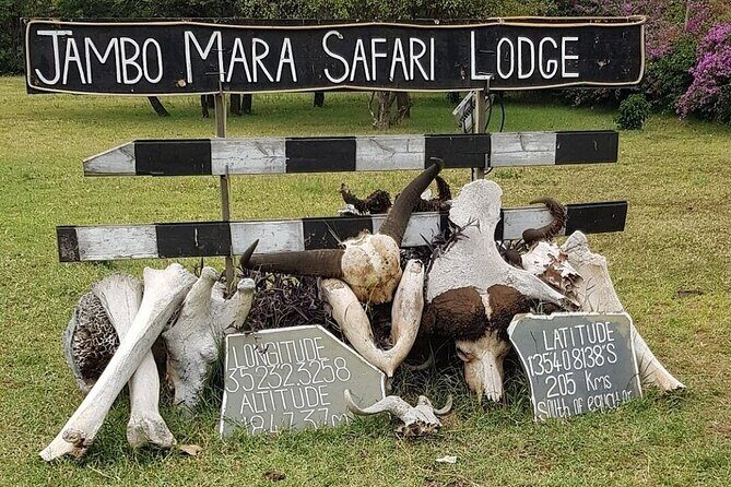 4 Day Safari Maasai Mara, Lake Nakuru and Lake Naivasha - FAQs
