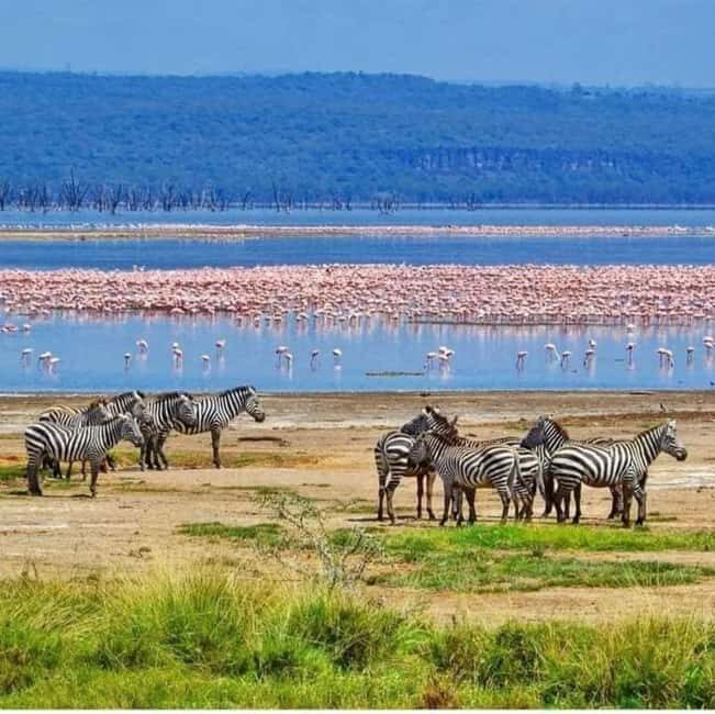 4-Day Safari Masai Mara and Lake Nakuru National Park - The Sum Up