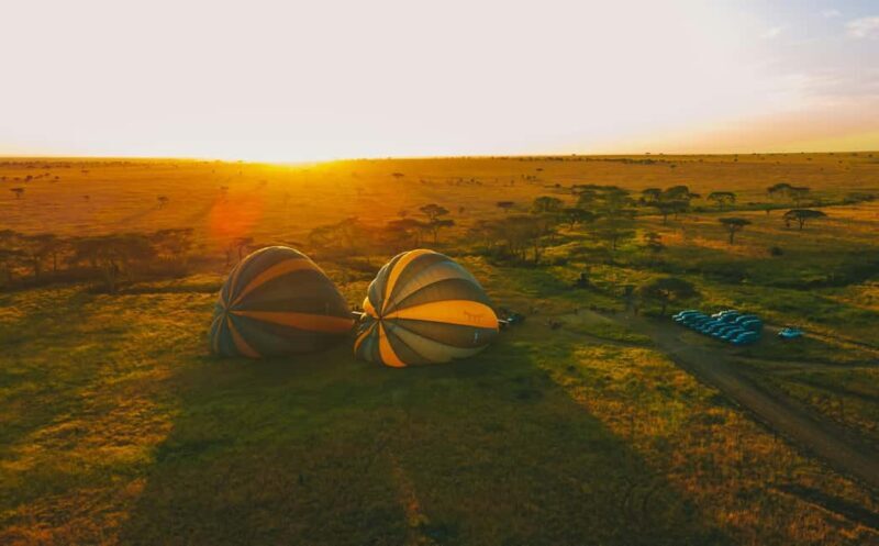 4-Day Safari - Key Points