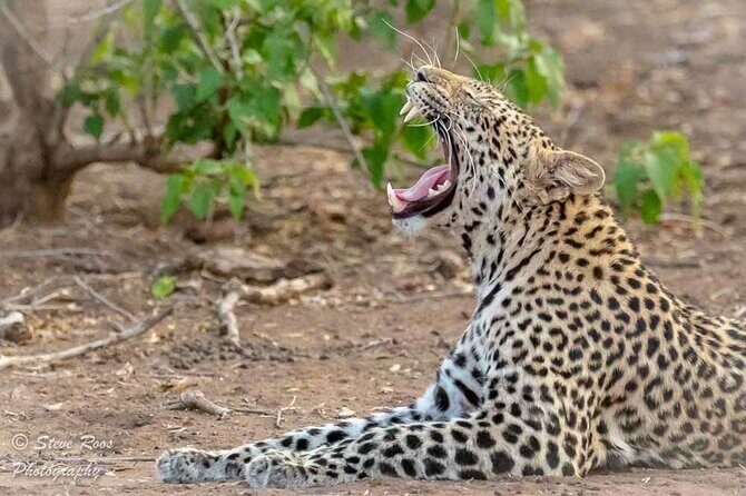 4-Day Safari to Tarangire ,Serengeti and Ngorongoro crater from Arusha - Key Points