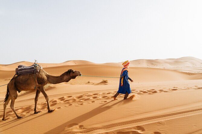 4 Day Sahara Desert Tour From Marrakech with Night in Camp - The Sum Up