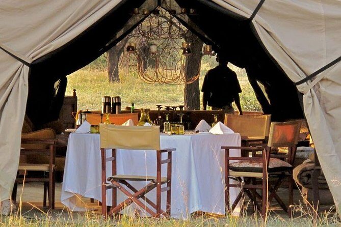 4 Day Serengeti Luxury Tented Camps Safari - Day 2: Into the Heart of the Serengeti and Olduvai Gorge