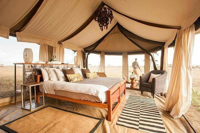 4 Day Serengeti Luxury Tented Camps Safari - Day 4: Ngorongoro Crater — A Densely Packed Wildlife Haven