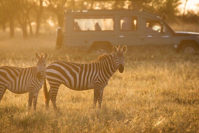 4-Day Serengeti, Ngorongoro, & Lake Manyara Budget Tour - Introduction: An Authentic Tanzanian Safari on a Budget