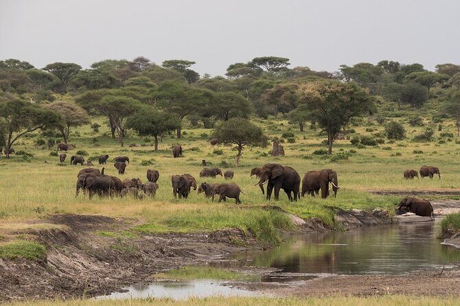4-Day Serengeti, Ngorongoro, & Lake Manyara Budget Tour - The Practicalities