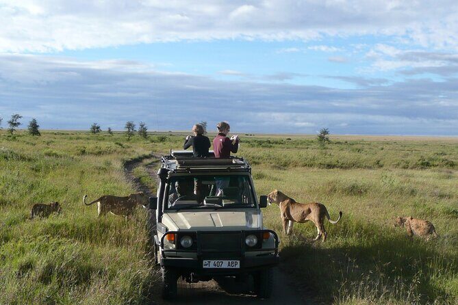 4-Day Serengeti, Ngorongoro, & Lake Manyara Budget Tour - Authentic Experiences & What Travelers Say