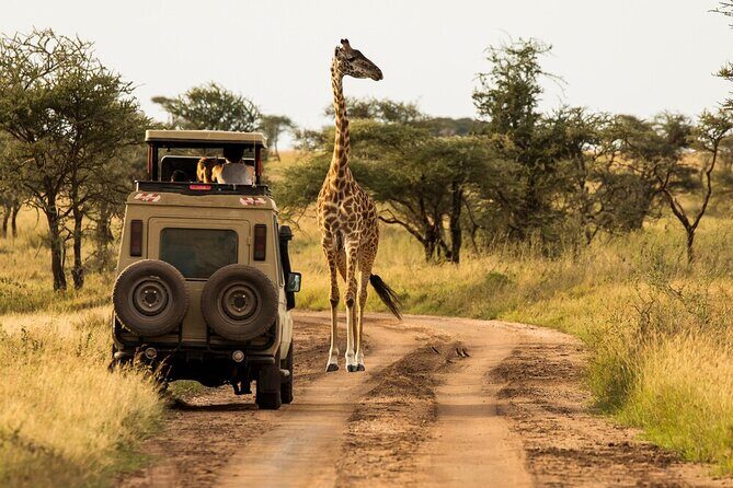 4-Day Serengeti, Ngorongoro, & Lake Manyara Budget Tour - FAQ