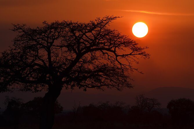 4 Day Serengeti & Ngorongoro Safari Wildlife Wonders of Tanzania - FAQ