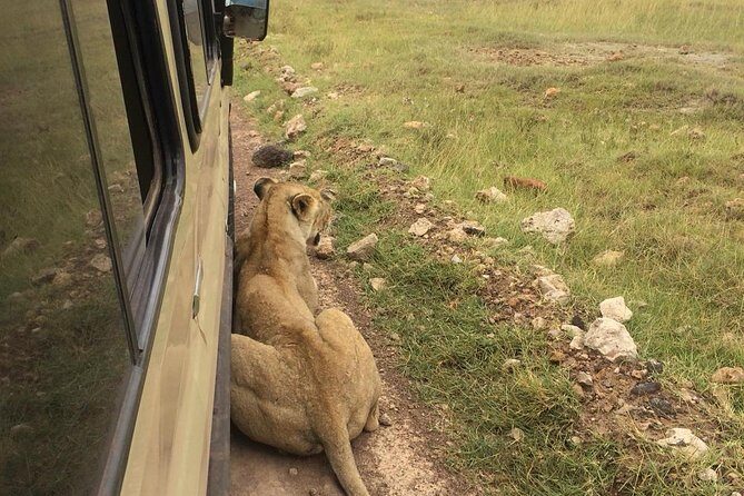 4-Day Serengeti, Ngorongoro,Tarangire safari - Key Points