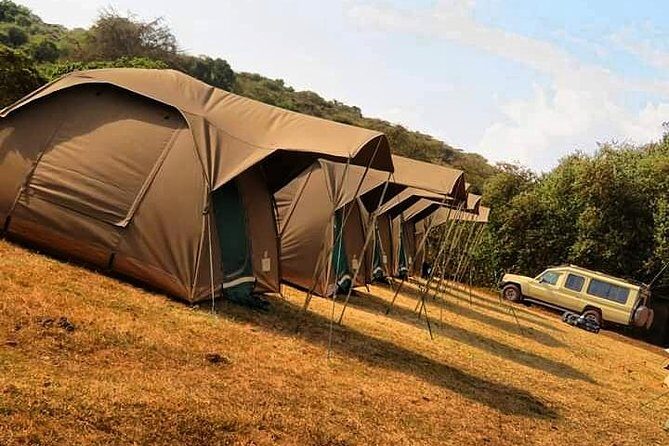 4-Day Serengeti, Ngorongoro,Tarangire safari - FAQs