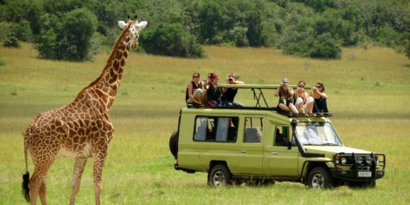 4 Day Small Group Garden Route Tour From Cape Town - Final Thoughts