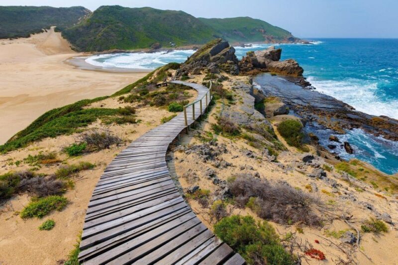4 Day Small Group Garden Route Tour From Cape Town - Key Points