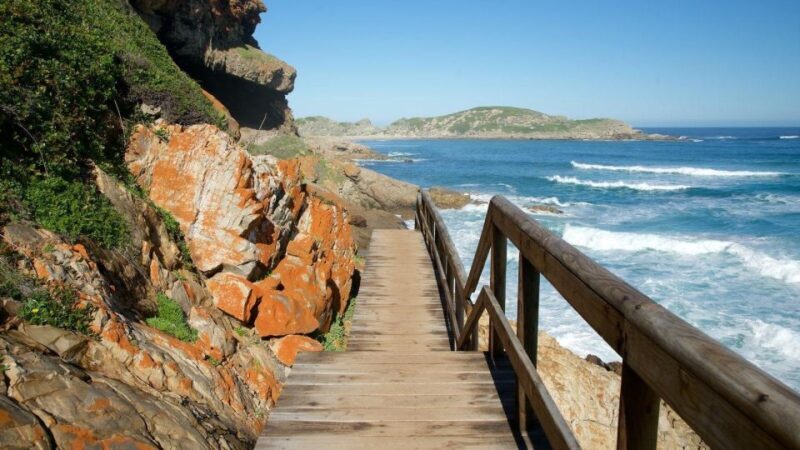 4 Day Small Group Garden Route Tour From Cape Town - Practical Considerations