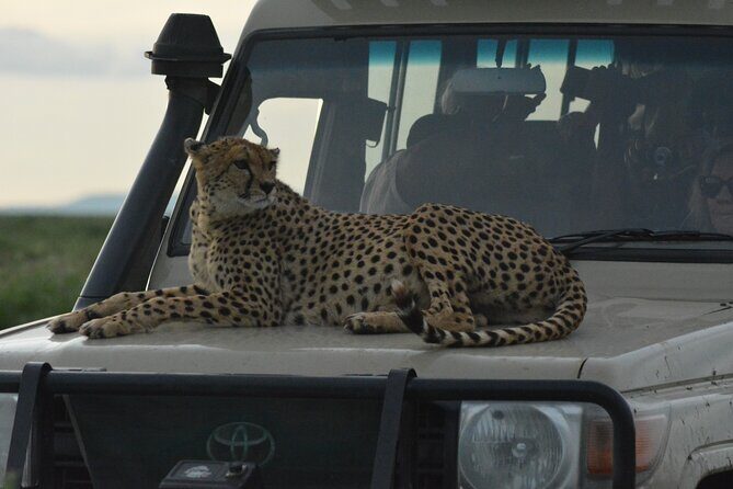 4-Day Small-Group Tour of Tanzania - What this Tour Offers: A Balance of Comfort and Adventure