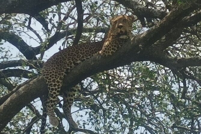 4-Day Small-Group Tour of Tanzania - The Experience in Context