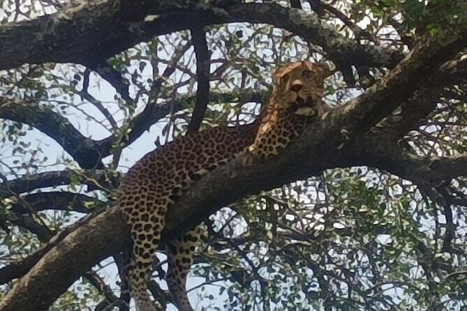 4-Day Small-Group Tour of Tanzania - The Sum Up: Who Should Book This?