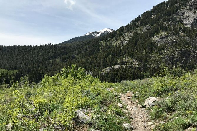 4-Day Small Group Tour: Yellowstone and Tetons Camping from Salt Lake City - FAQ