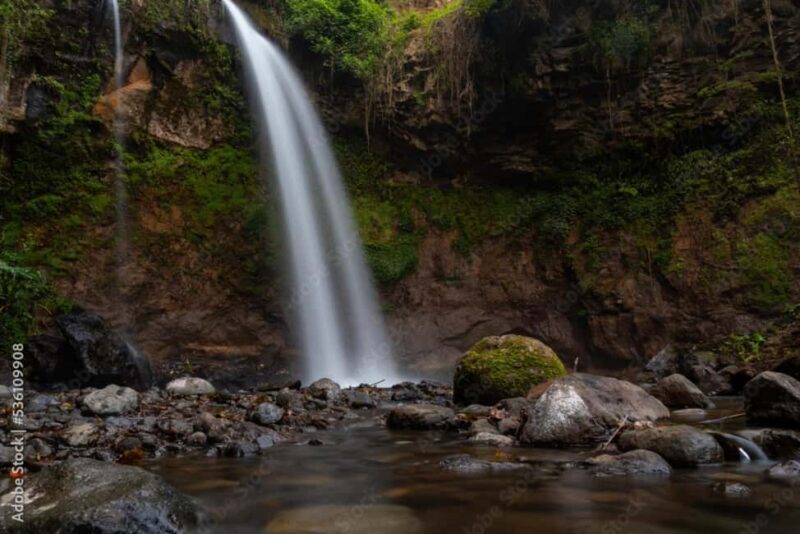 4-Day Southern Tanzania Udzungwa and Mikumi NP - The Experience: What Travelers Can Expect