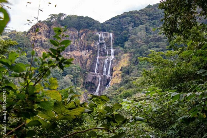 4-Day Southern Tanzania Udzungwa and Mikumi NP - The Sum Up