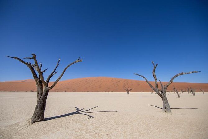 4-Day Swakopmund And Sossusvlei Accommodated Adventure from Windhoek - Why Choose This Tour?
