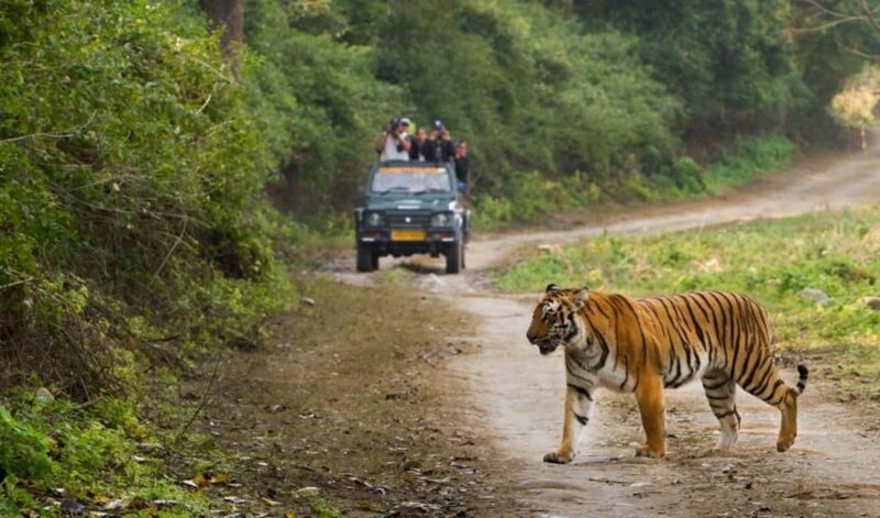 4-Day Taj Mahal Tour with Jim Corbett Safari Experience - FAQ – Practical Questions Answered