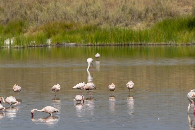 4 Day Tanzania Afordable Safari ft Two Night Serengeti - Who Will Love This Tour?