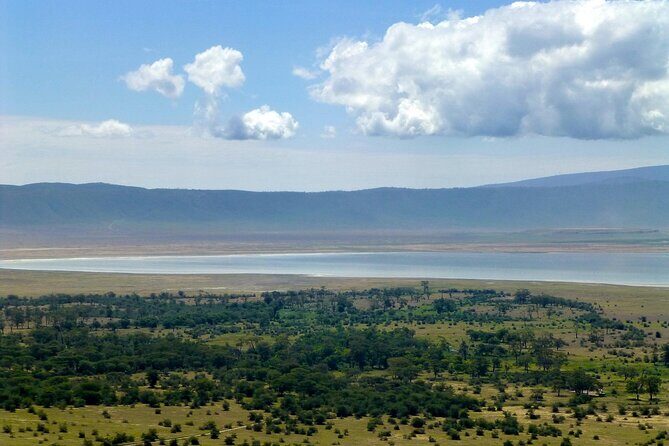 4 Day Tanzania Afordable Safari ft Two Night Serengeti - The Sum Up