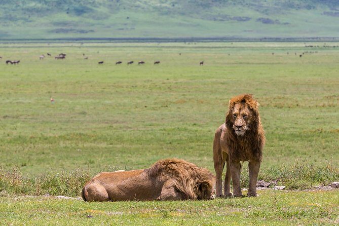 4-day Tanzania Safari - What the Tour Includes and Excludes