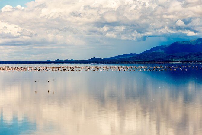 4-day Tanzania Safari - Authentic Experiences from Travelers