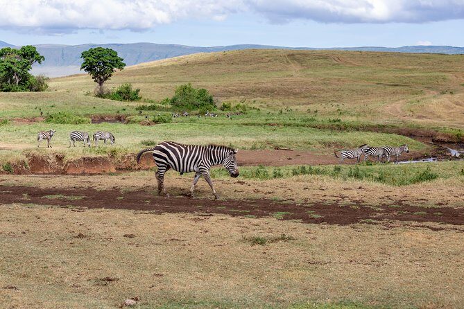 4-day Tanzania Safari - The Sum Up