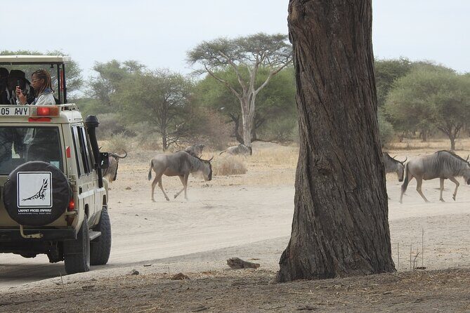 4-Day Tarangire, Serengeti, Ngorongoro Crater - The Sum Up