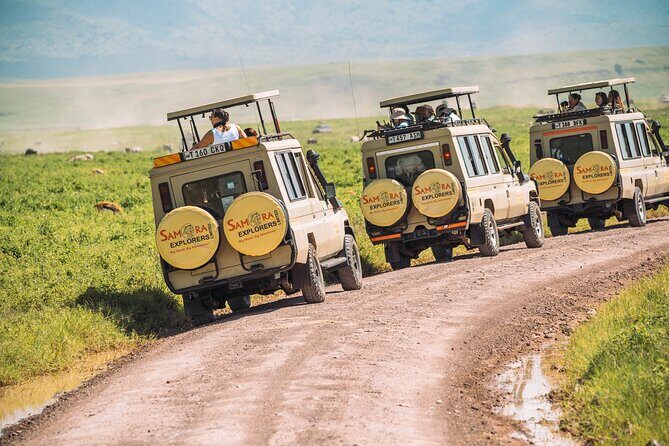 4-Day The Short of Tanzania Safari - Who Is This Tour Best For?