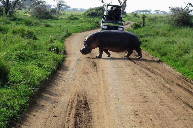 4-Day Tour in Lake Nakuru, Lake Naivash, Masai Mara from Nairobi - Key Points